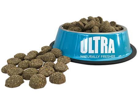 Best Adult Dogs Food In New Zealand Best Adult Dogs Food In New Zealand