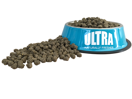 Best Puppy Food In New Zealand Best Puppy Food In New Zealand